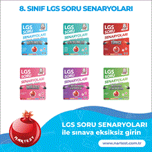 Resim 8. SINIF LGS SORU SENARYOLARI SETİ